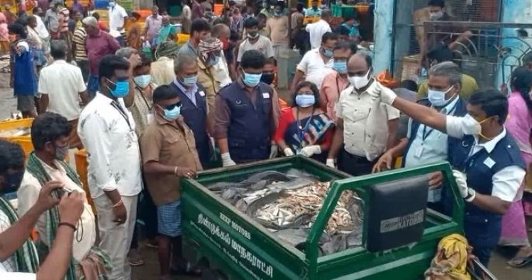 500 கிலோ ஆப்ரிக்கன் கெளுத்தி மீன்கள் பறிமுதல்   