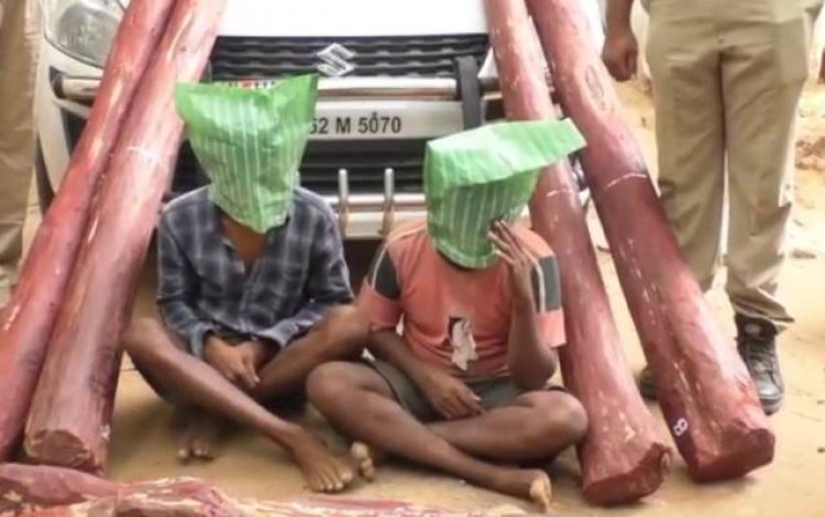 ஒரு கோடி ரூபாய் மதிப்பிலான  32 செம்மரகட்டைகள் பறிமுதல்- 3 பேர் கைது